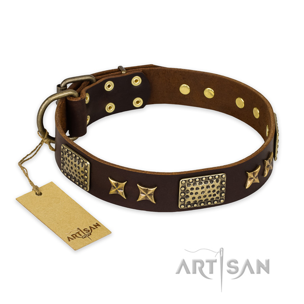 Designer leather dog collar with corrosion proof fittings