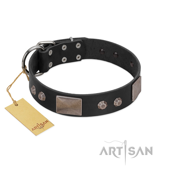 Significant full grain leather dog collar with rust-proof traditional buckle