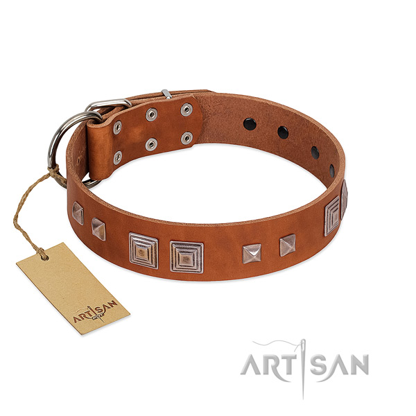 Rust resistant D-ring on leather dog collar for comfortable wearing