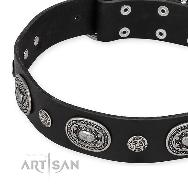 Quality genuine leather dog collar handmade for your impressive four-legged friend