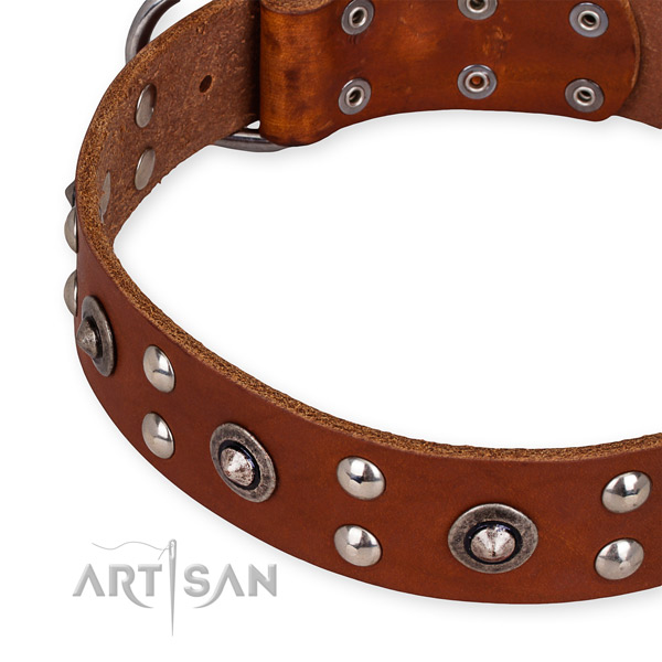 Genuine leather collar with corrosion resistant hardware for your beautiful doggie