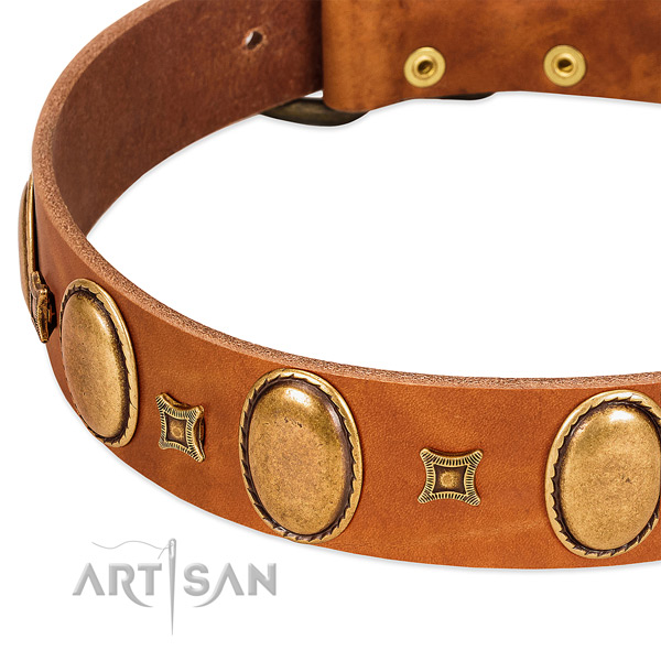 Full grain genuine leather dog collar with rust-proof traditional buckle for stylish walking