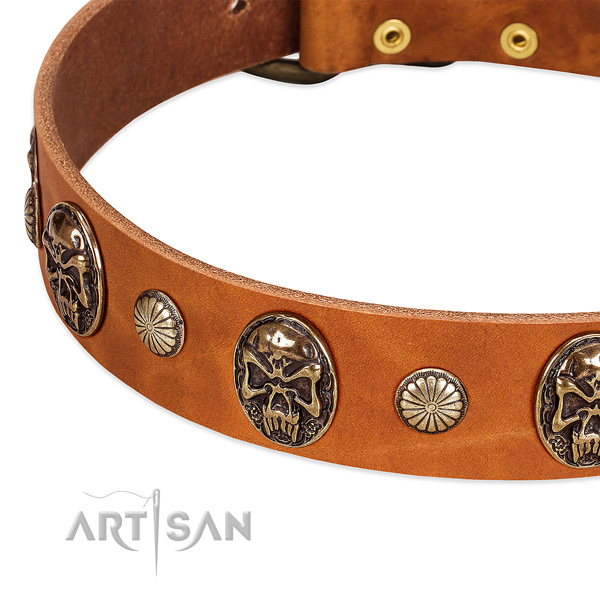 Durable studs on genuine leather dog collar for your canine