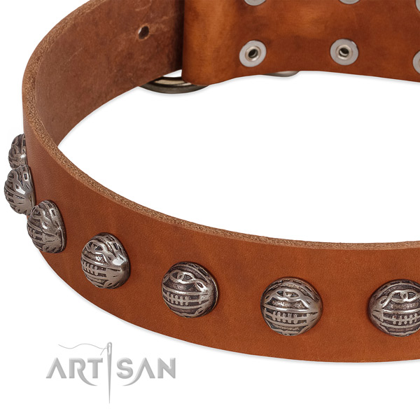 Unique full grain natural leather dog collar with reliable embellishments