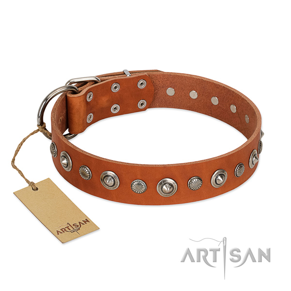 Strong genuine leather dog collar with unique studs