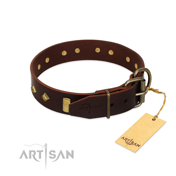 Leather dog collar with rust resistant D-ring for walking