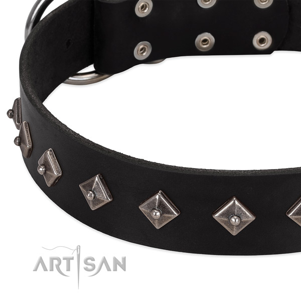 Easy adjustable collar of natural leather for your beautiful four-legged friend