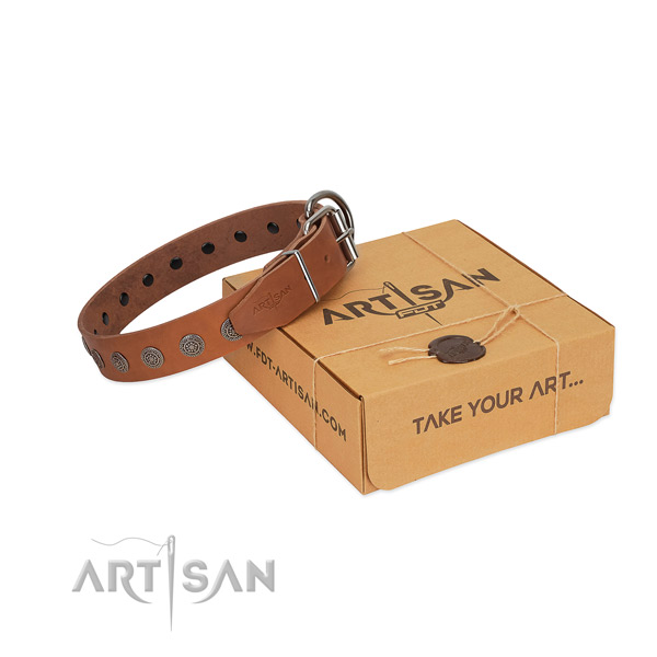 Extraordinary adornments on leather dog collar for fancy walking