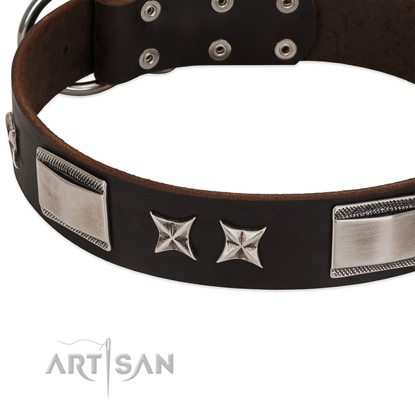 Quality genuine leather dog collar with rust resistant hardware