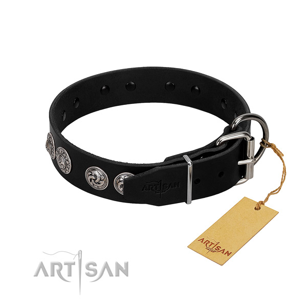 Remarkable full grain natural leather collar for your four-legged friend walking
