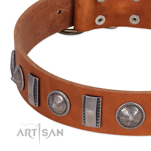 Incredible studded full grain genuine leather dog collar for everyday walking