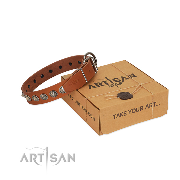 Reliable full grain natural leather dog collar with adornments for your handsome pet