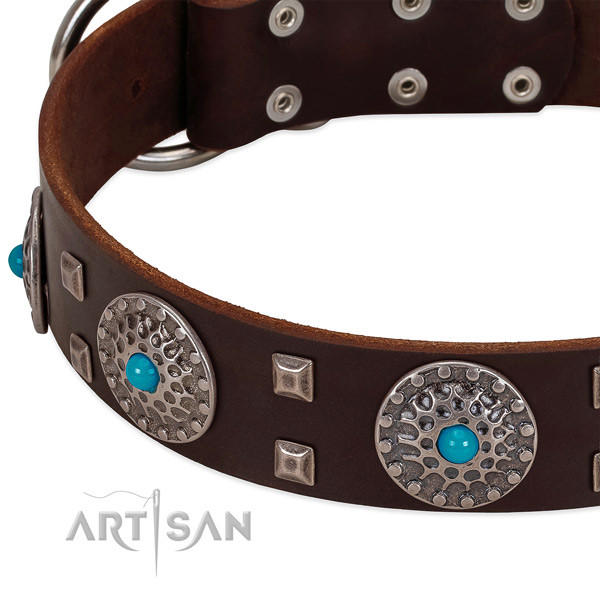 Soft full grain leather dog collar with remarkable embellishments
