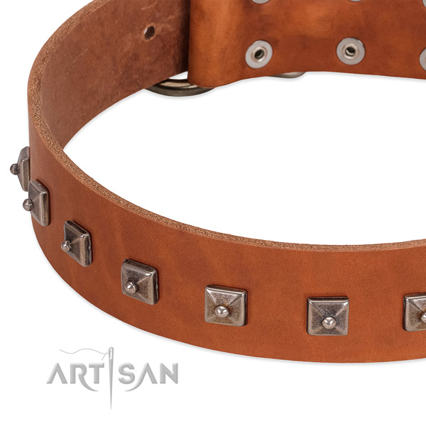 Top notch full grain genuine leather dog collar with unique embellishments