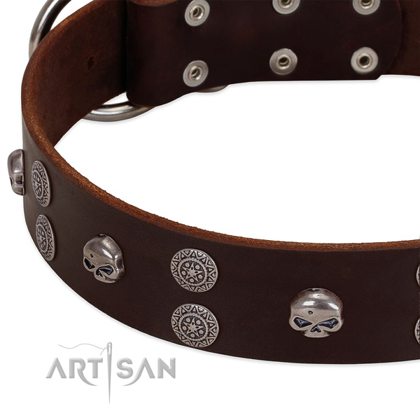 Soft leather dog collar with unique adornments