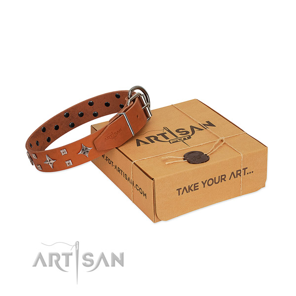 Trendy full grain leather collar for your canine everyday walking