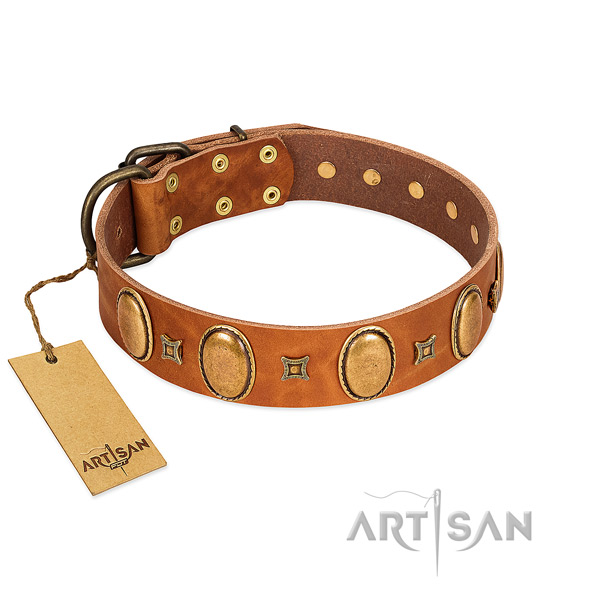 Full grain leather dog collar with trendy decorations for everyday walking
