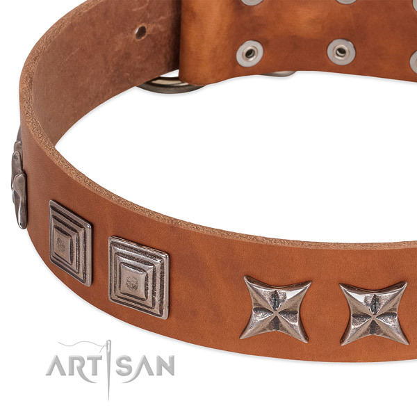 Best quality natural leather dog collar with rust resistant traditional buckle