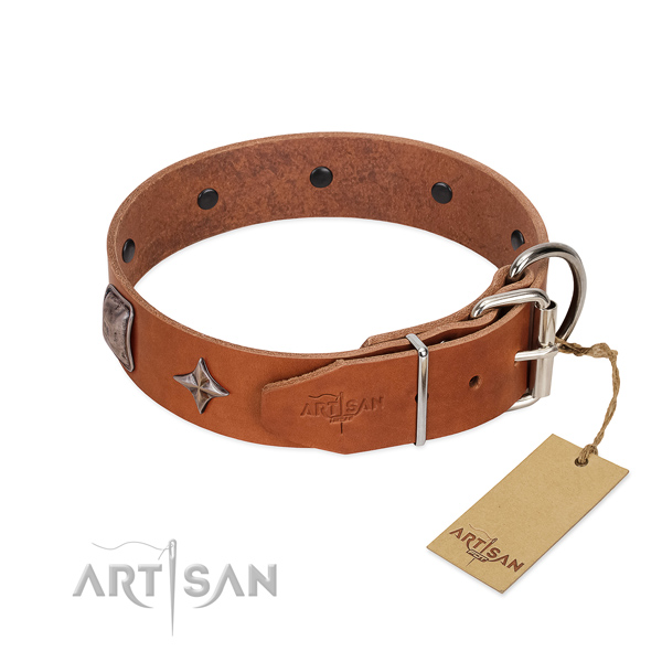 Soft to touch natural leather dog collar with top-notch decorations