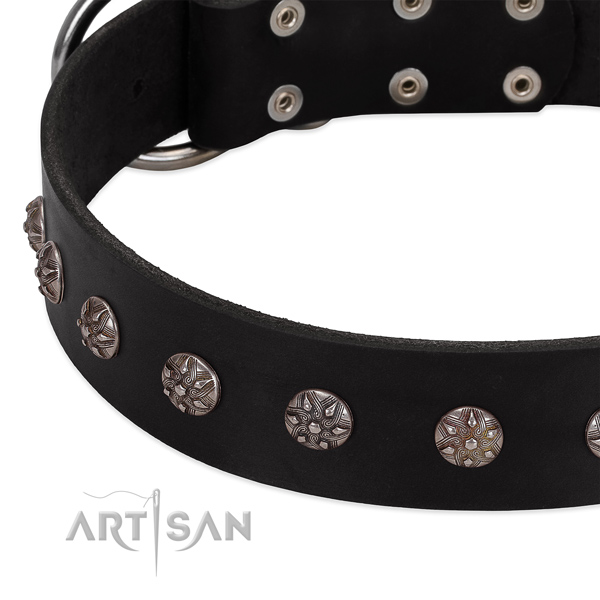Flexible genuine leather dog collar with stunning studs