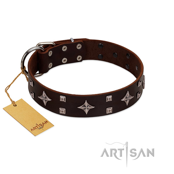 Unique genuine leather collar for your four-legged friend everyday walking