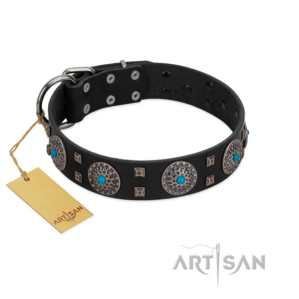 Walking full grain leather dog collar with awesome embellishments