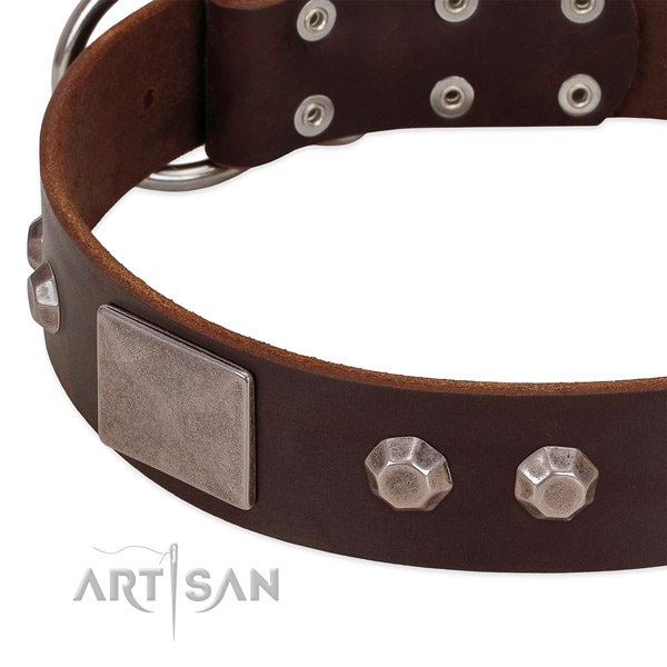 Comfy wearing quality full grain natural leather dog collar