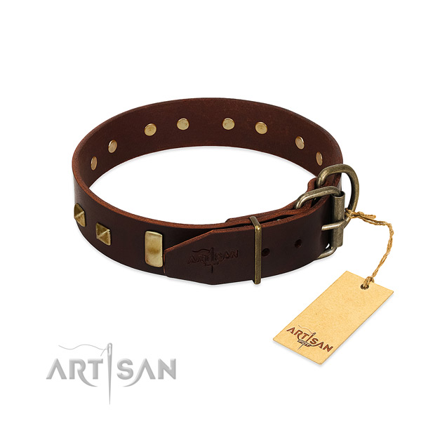 Reliable full grain genuine leather dog collar with durable fittings