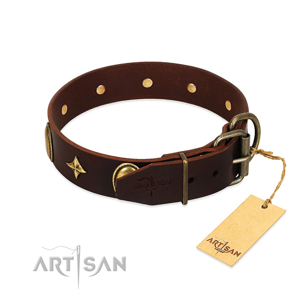 Quality full grain natural leather dog collar with exceptional adornments
