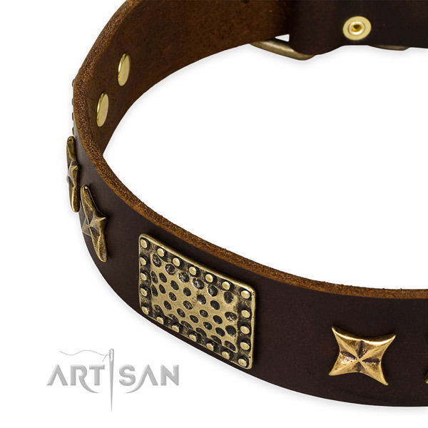 Leather collar with reliable buckle for your beautiful four-legged friend