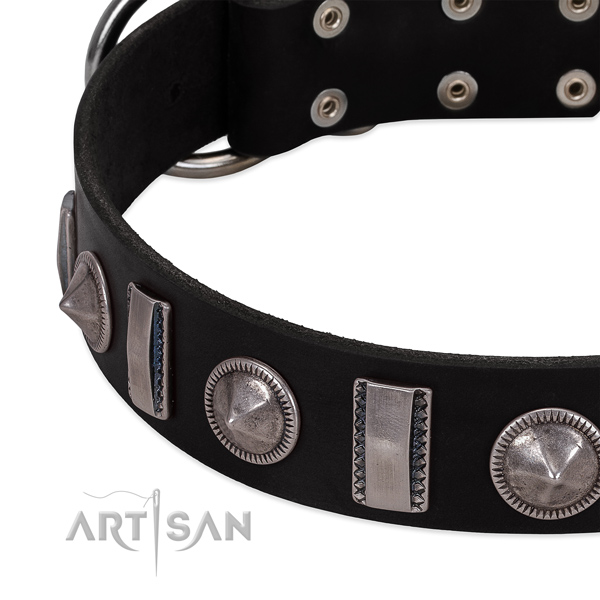 Stylish full grain leather dog collar with durable decorations