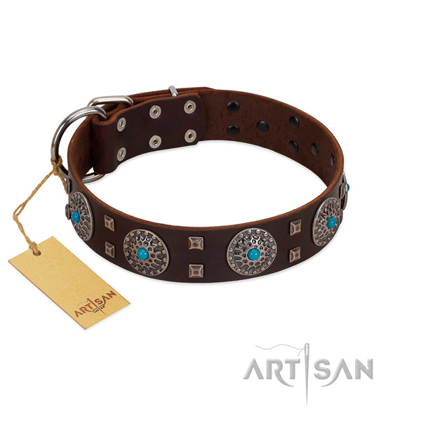 Easy wearing full grain leather dog collar with unique embellishments
