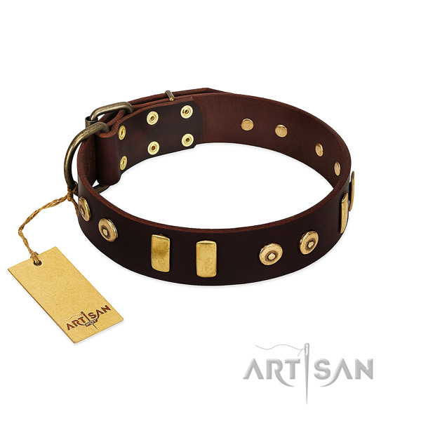 Full grain leather dog collar with inimitable decorations for everyday walking