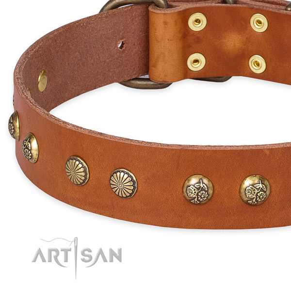 Full grain natural leather collar with strong buckle for your attractive pet