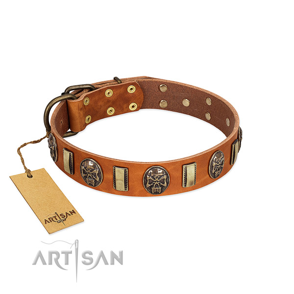 Stylish genuine leather dog collar for daily use