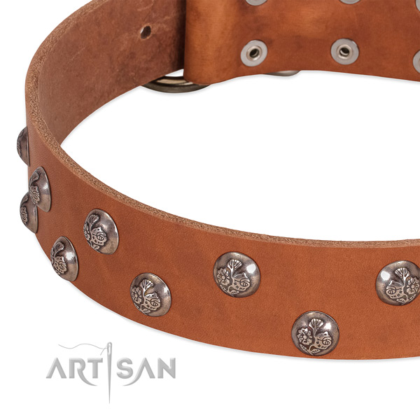 Full grain genuine leather dog collar with rust resistant fittings and studs