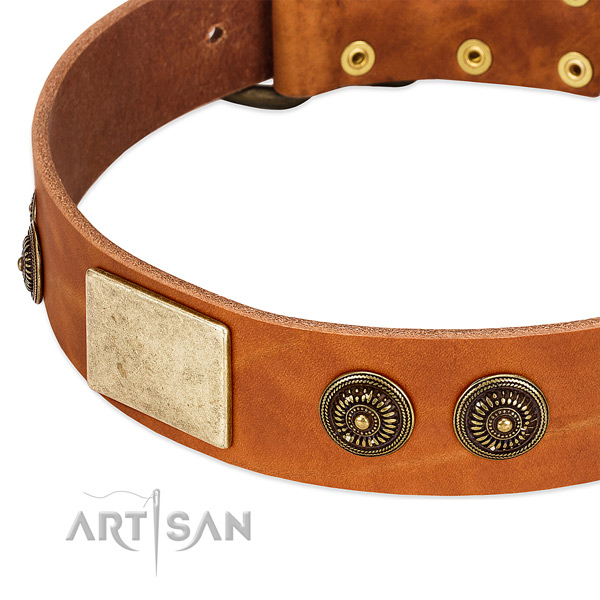 Adorned dog collar made for your stylish four-legged friend