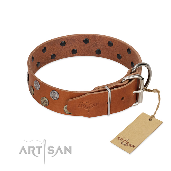 Corrosion resistant hardware on genuine leather dog collar for fancy walking