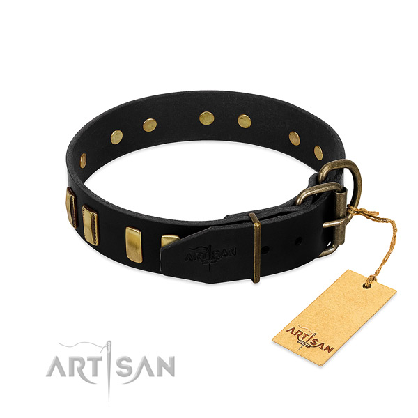 Reliable leather dog collar with corrosion proof hardware