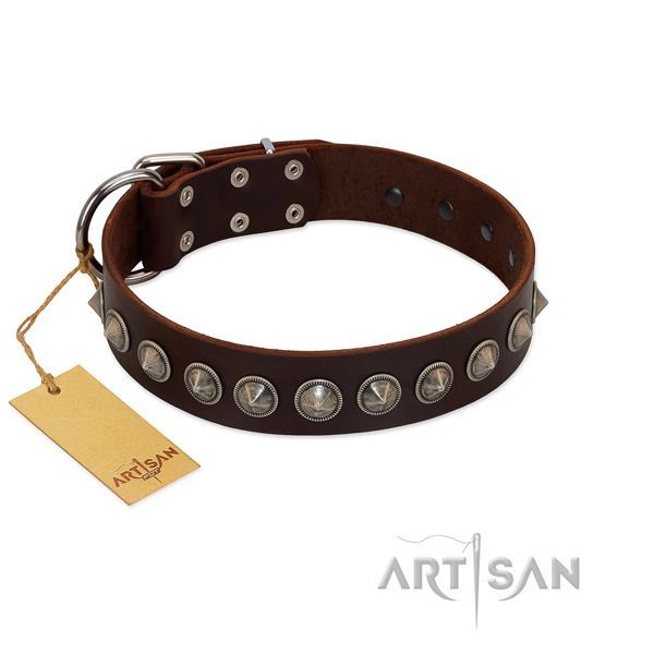 Leather dog collar with amazing adornments crafted dog