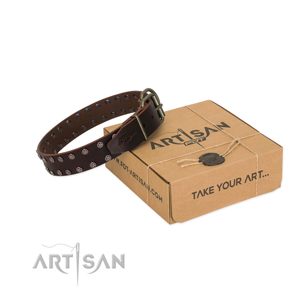 Reliable natural leather dog collar with adornments for your impressive four-legged friend