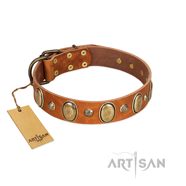 Full grain leather dog collar of gentle to touch material with unique embellishments
