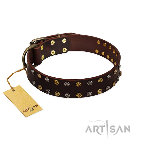 Comfortable wearing reliable full grain natural leather dog collar with adornments