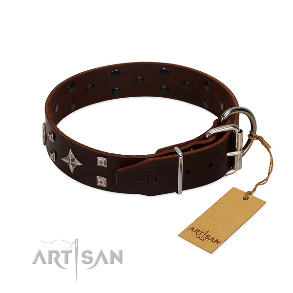 Extraordinary genuine leather collar for your doggie stylish walks