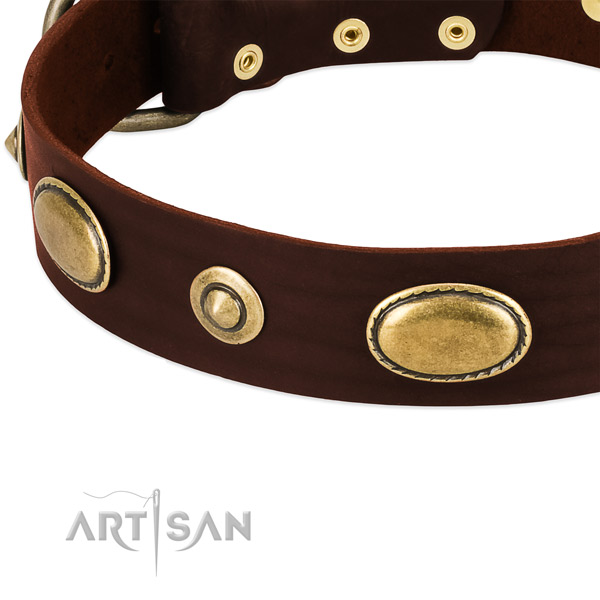 Rust resistant studs on full grain genuine leather dog collar for your canine