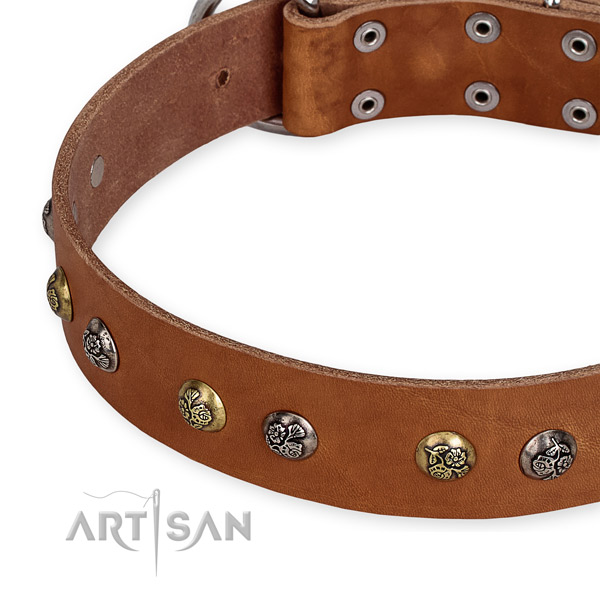 Natural genuine leather dog collar with inimitable corrosion resistant embellishments