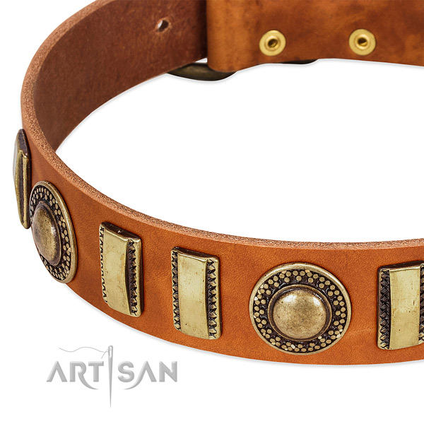 Reliable full grain leather dog collar with strong fittings