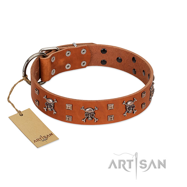 Leather dog collar with stunning studs