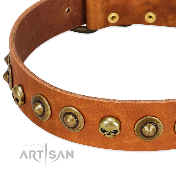 Exceptional studs on natural leather collar for your dog