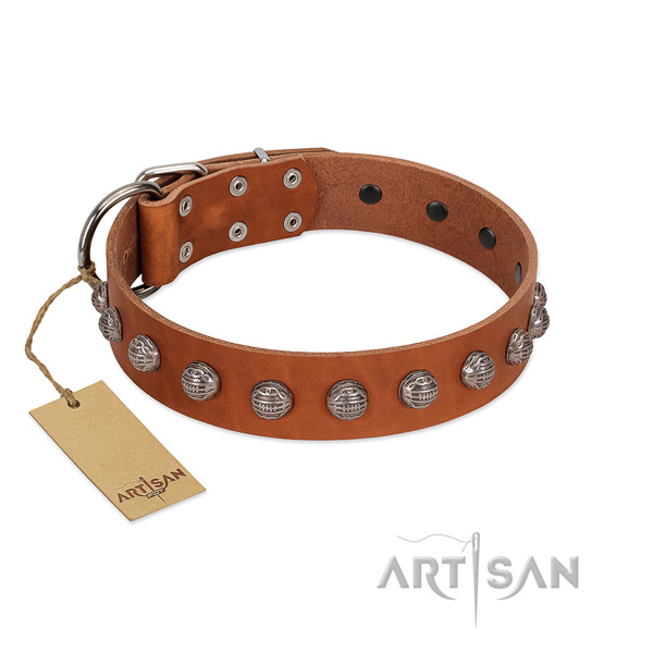 Full grain natural leather collar with exquisite embellishments for your four-legged friend